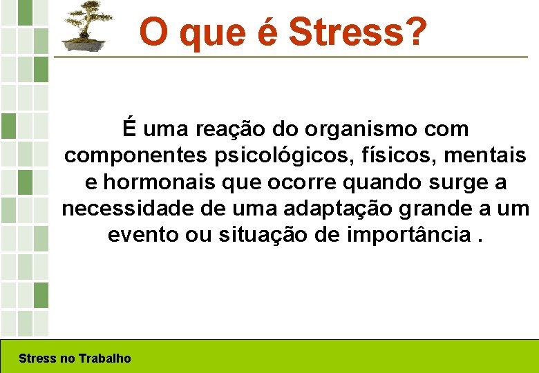 O que é Stress? É uma reação do organismo componentes psicológicos, físicos, mentais e