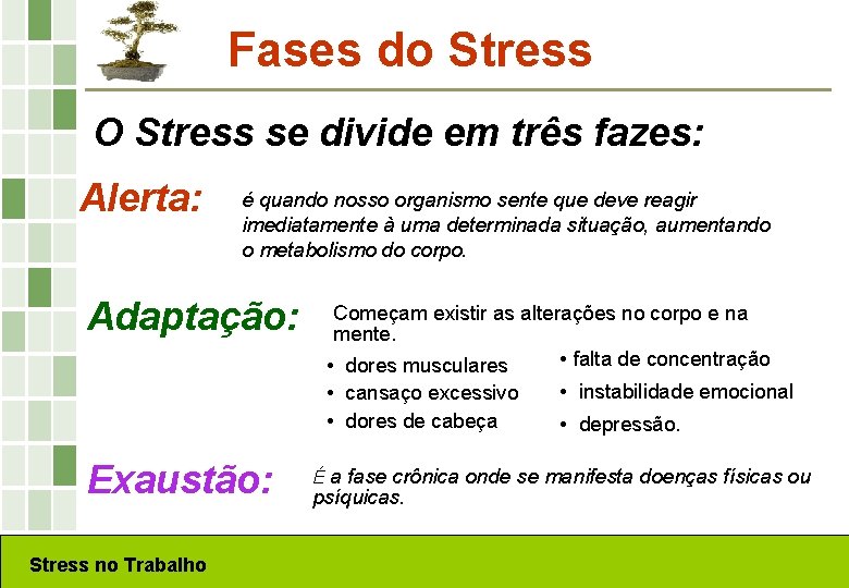 Fases do Stress O Stress se divide em três fazes: Alerta: é quando nosso