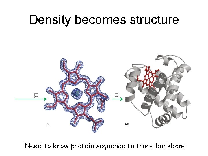 Density becomes structure Need to know protein sequence to trace backbone 