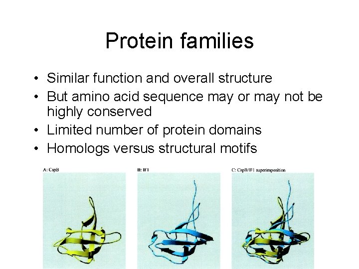 Protein families • Similar function and overall structure • But amino acid sequence may