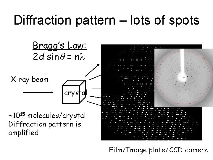 Diffraction pattern – lots of spots Bragg’s Law: 2 d sinq = nl X-ray