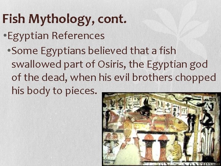 Fish Mythology, cont. • Egyptian References • Some Egyptians believed that a fish swallowed