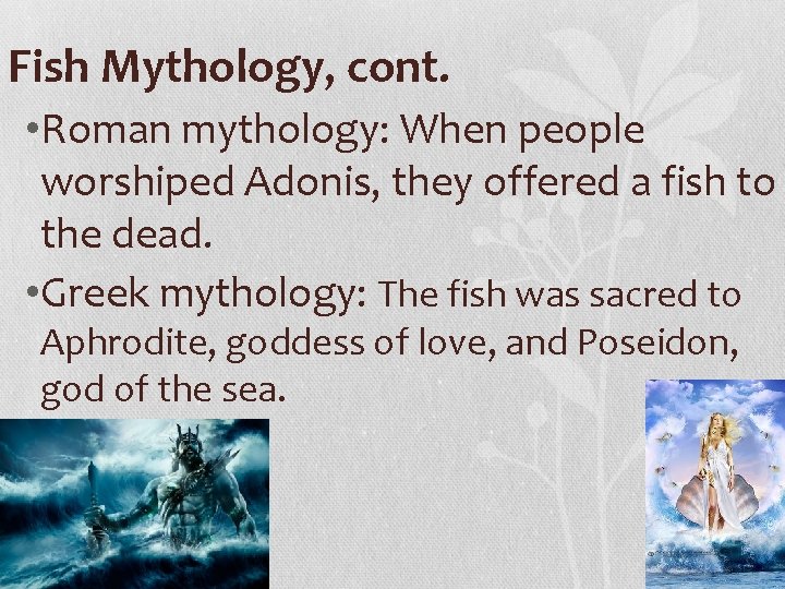 Fish Mythology, cont. • Roman mythology: When people worshiped Adonis, they offered a fish