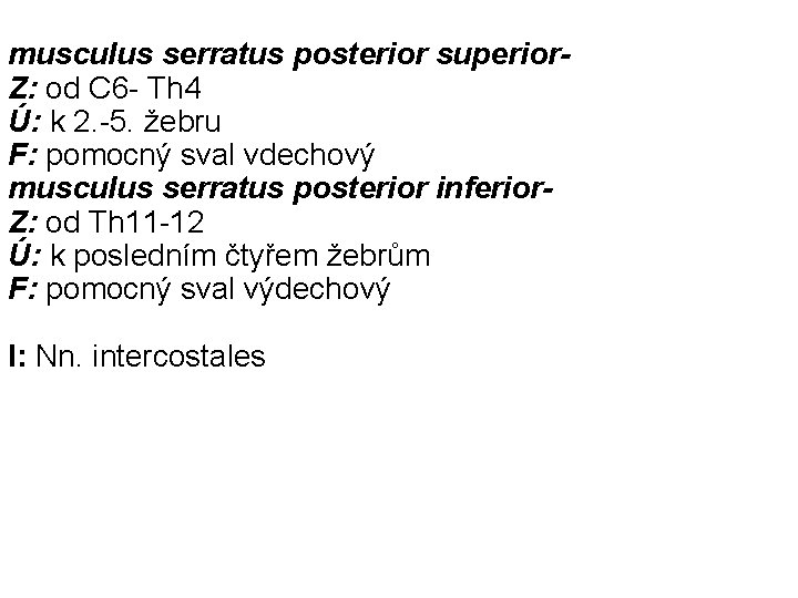 musculus serratus posterior superior. Z: od C 6 - Th 4 Ú: k 2.