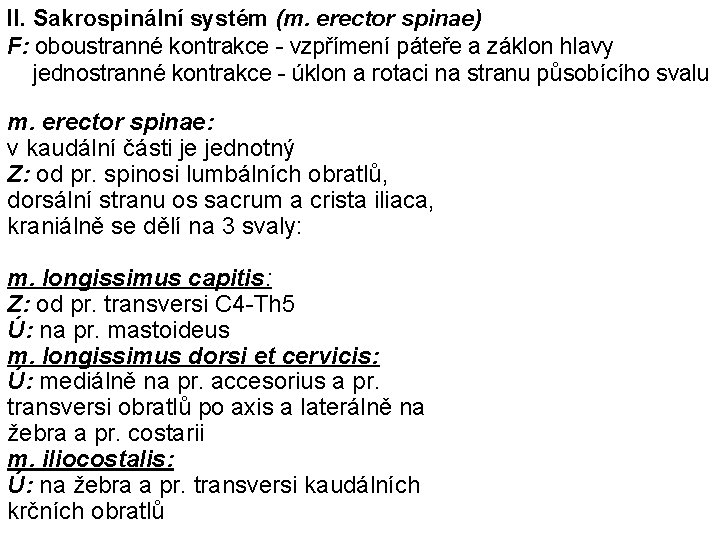 II. Sakrospinální systém (m. erector spinae) F: oboustranné kontrakce - vzpřímení páteře a záklon