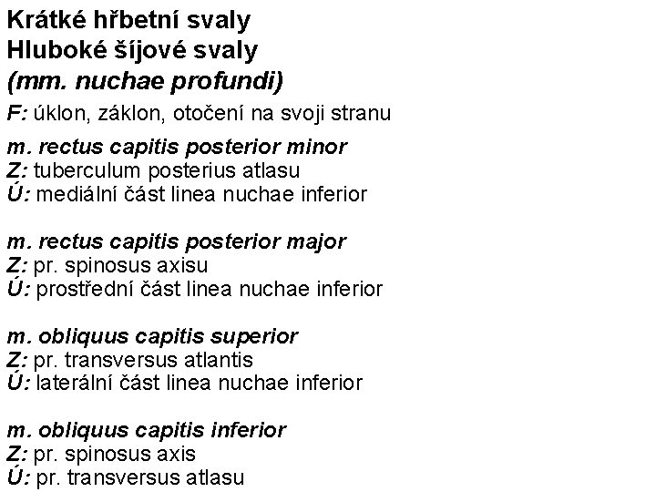 Krátké hřbetní svaly Hluboké šíjové svaly (mm. nuchae profundi) F: úklon, záklon, otočení na