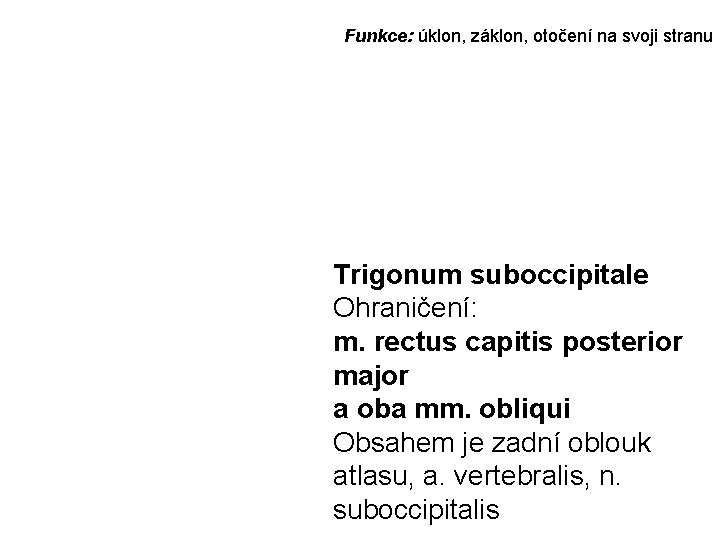 Funkce: úklon, záklon, otočení na svoji stranu Trigonum suboccipitale Ohraničení: m. rectus capitis posterior