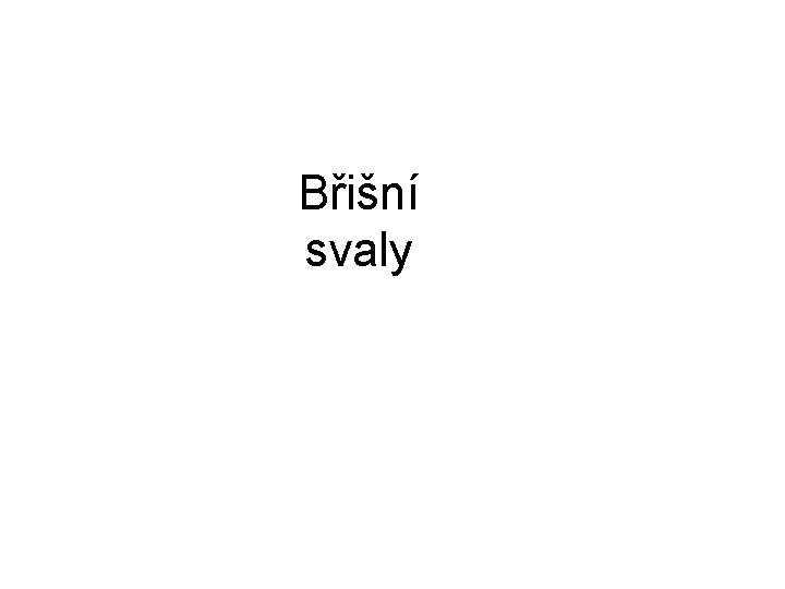 Břišní svaly 