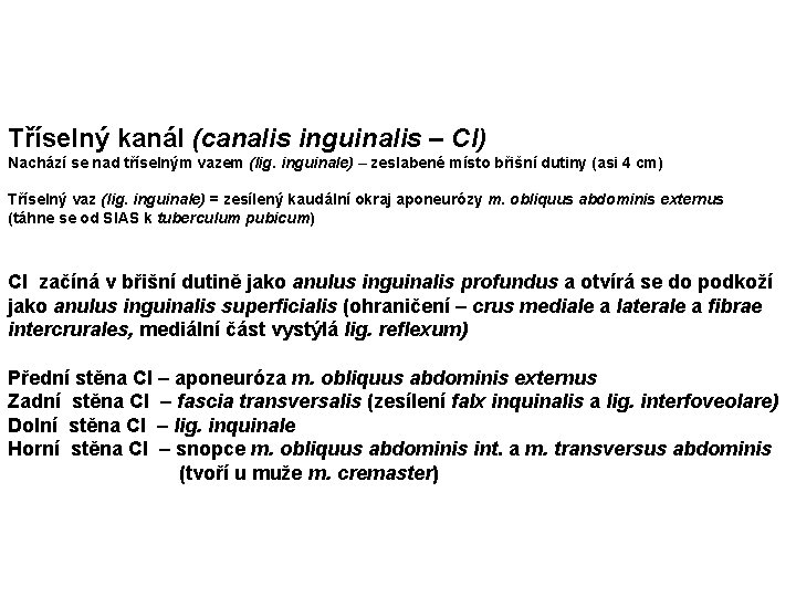 Tříselný kanál (canalis inguinalis – CI) Nachází se nad tříselným vazem (lig. inguinale) –