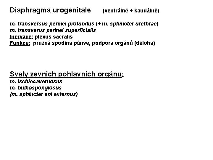 Diaphragma urogenitale (ventrálně + kaudálně) m. transversus perinei profundus (+ m. sphincter urethrae) m.