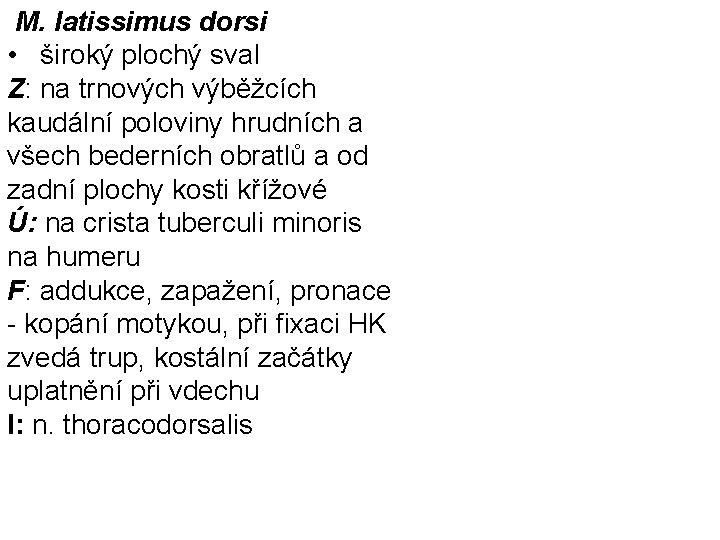  M. latissimus dorsi • široký plochý sval Z: na trnových výběžcích kaudální poloviny