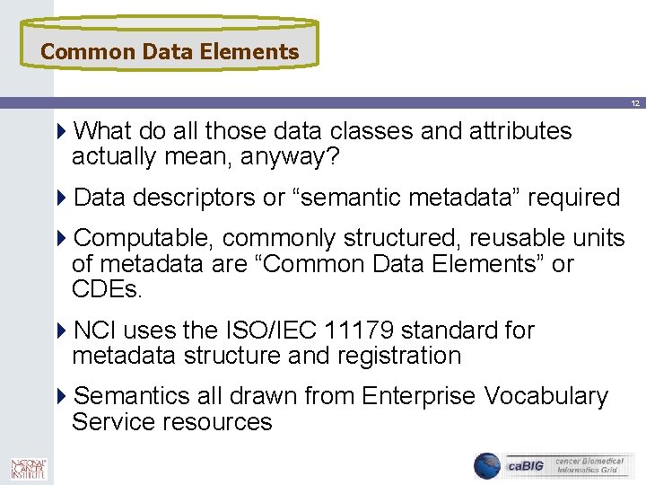 Common Data Elements 12 4 What do all those data classes and attributes actually