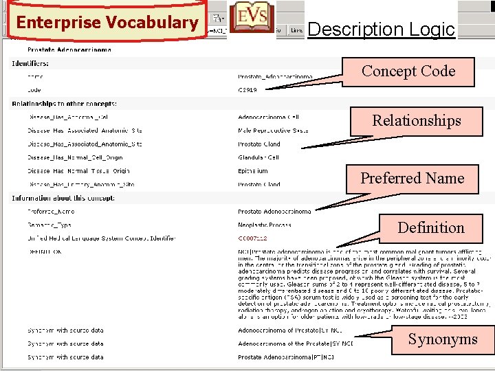 Enterprise Vocabulary Description Logic Concept Code Relationships Preferred Name Definition Synonyms 13 