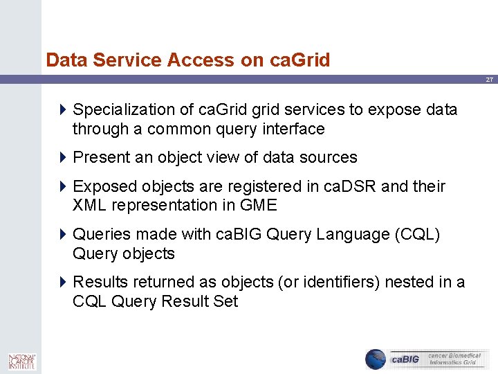 Data Service Access on ca. Grid 27 4 Specialization of ca. Grid grid services