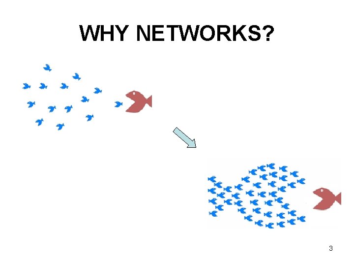 WHY NETWORKS? 3 