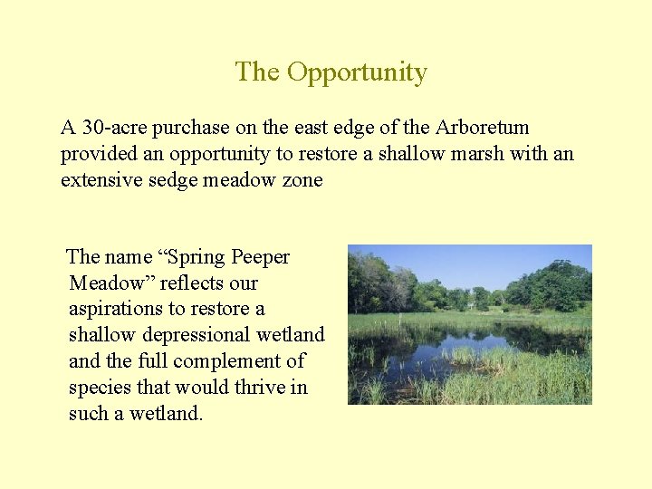 The Opportunity A 30 -acre purchase on the east edge of the Arboretum provided