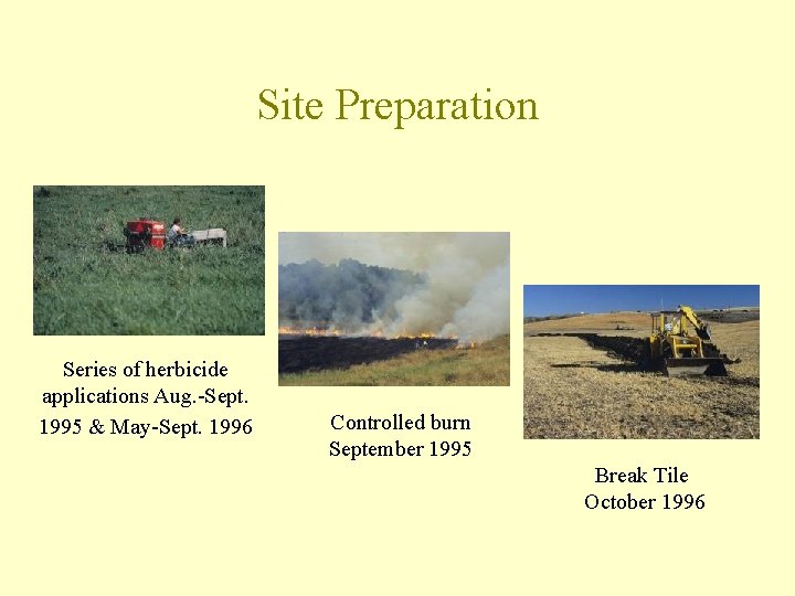 Site Preparation Series of herbicide applications Aug. -Sept. 1995 & May-Sept. 1996 Controlled burn