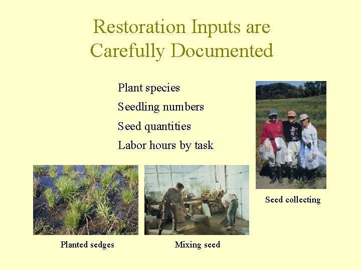 Restoration Inputs are Carefully Documented Plant species Seedling numbers Seed quantities Labor hours by
