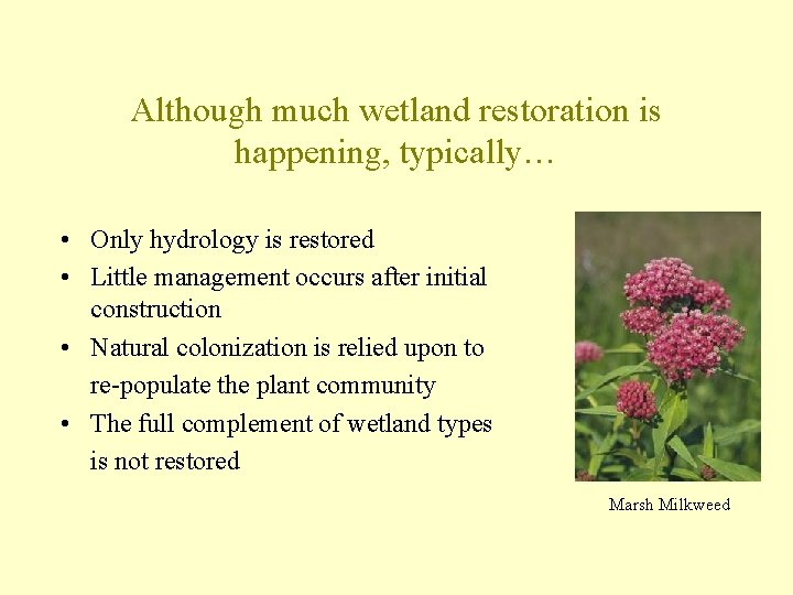 Although much wetland restoration is happening, typically… • Only hydrology is restored • Little