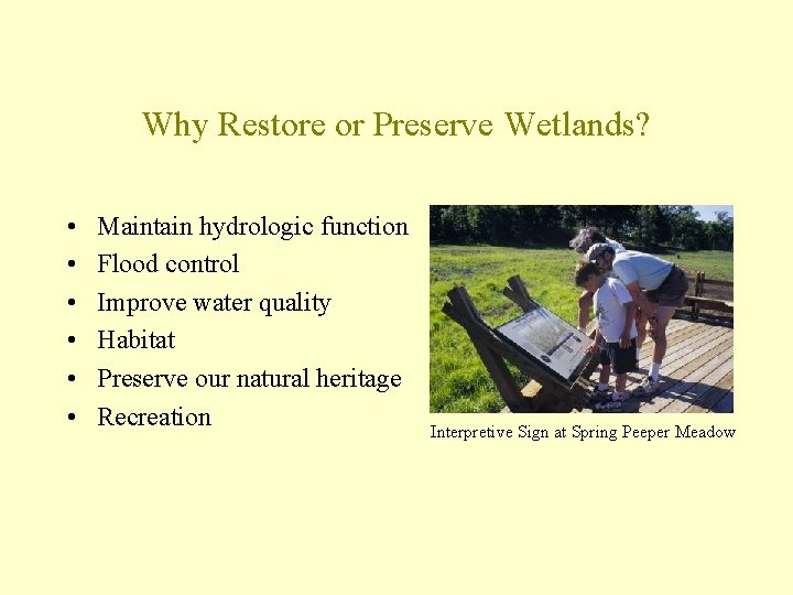 Why Restore or Preserve Wetlands? • • • Maintain hydrologic function Flood control Improve