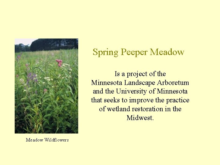 Spring Peeper Meadow Is a project of the Minnesota Landscape Arboretum and the University