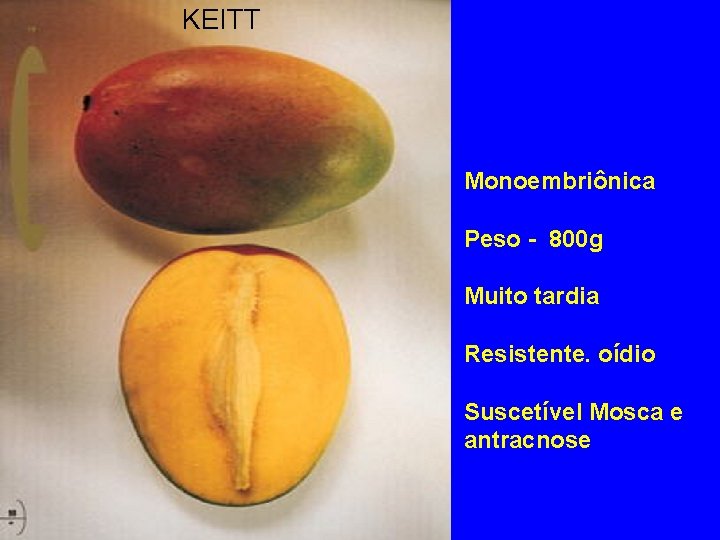 KEITT Monoembriônica Peso - 800 g Muito tardia Resistente. oídio Suscetível Mosca e antracnose