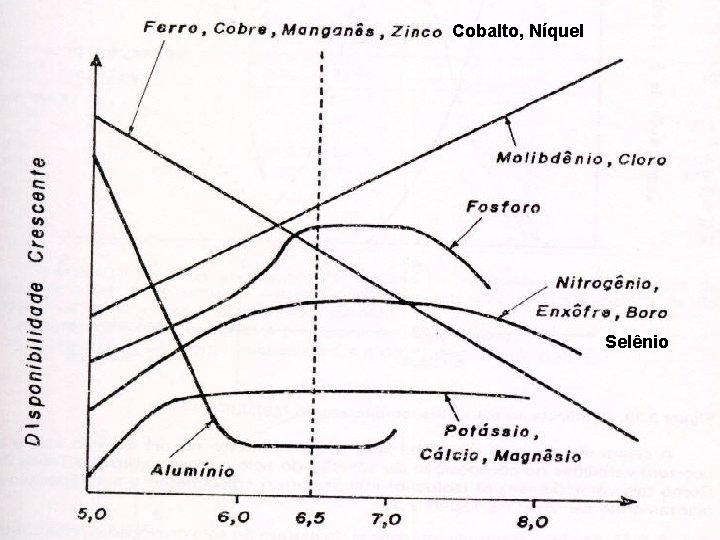 , Cobalto, Níquel Selênio 