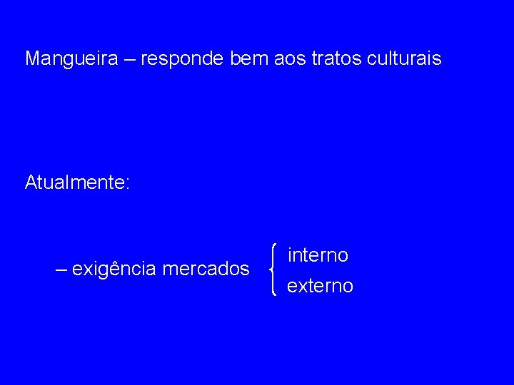 Mangueira – responde bem aos tratos culturais Atualmente: – exigência mercados interno externo 