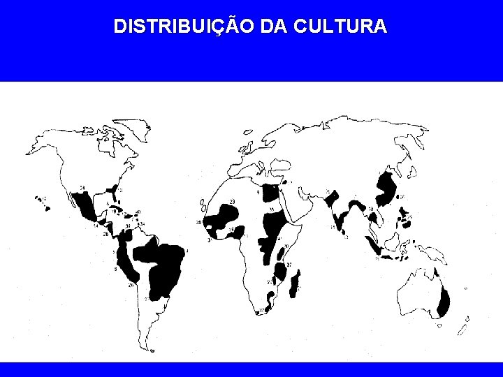 DISTRIBUIÇÃO DA CULTURA 