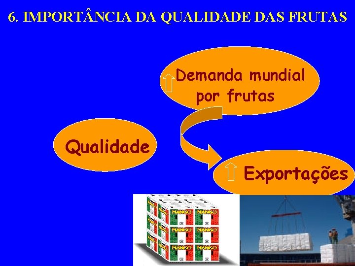 6. IMPORT NCIA DA QUALIDADE DAS FRUTAS Demanda mundial por frutas Qualidade Vida Pós-colheita