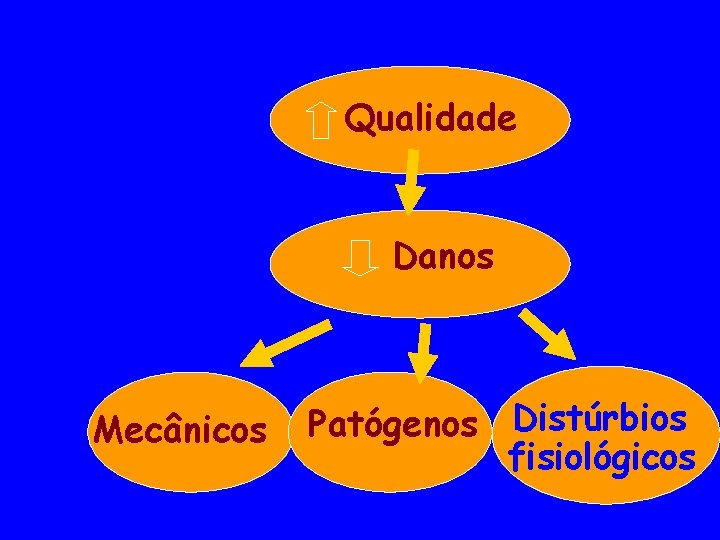 Qualidade Danos Mecânicos Patógenos Distúrbios fisiológicos 