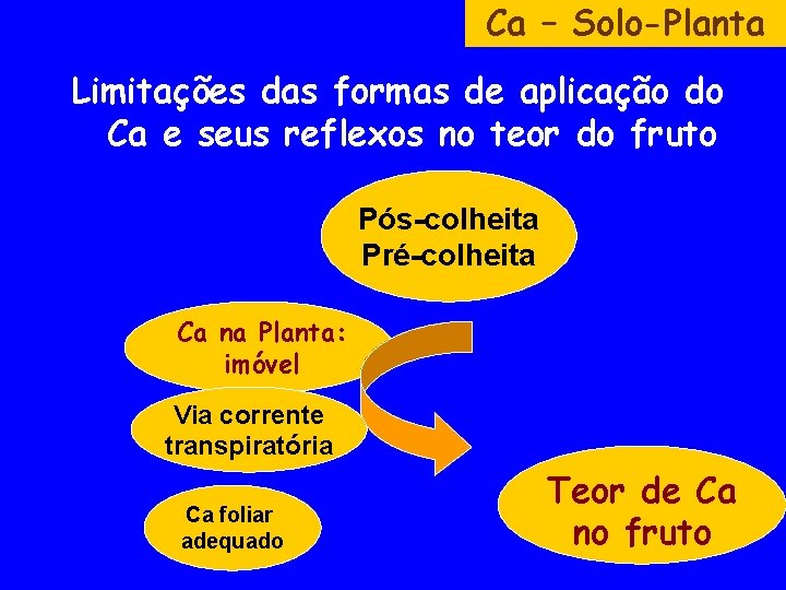 Ca – Solo-Planta Limitações das formas de aplicação do Ca e seus reflexos no