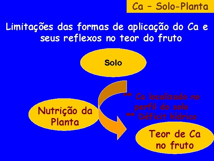 Ca – Solo-Planta Limitações das formas de aplicação do Ca e seus reflexos no