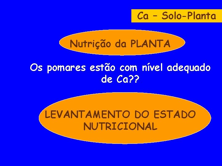 Ca – Solo-Planta Nutrição da PLANTA Os pomares estão com nível adequado de Ca?