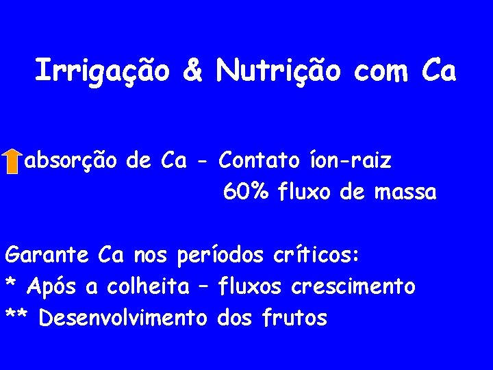 Irrigação & Nutrição com Ca absorção de Ca - Contato íon-raiz 60% fluxo de