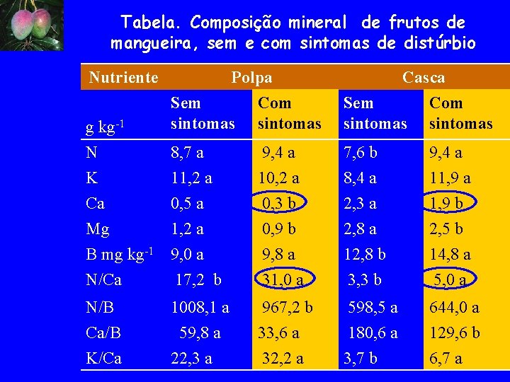Tabela. Composição mineral de frutos de mangueira, sem e com sintomas de distúrbio Nutriente
