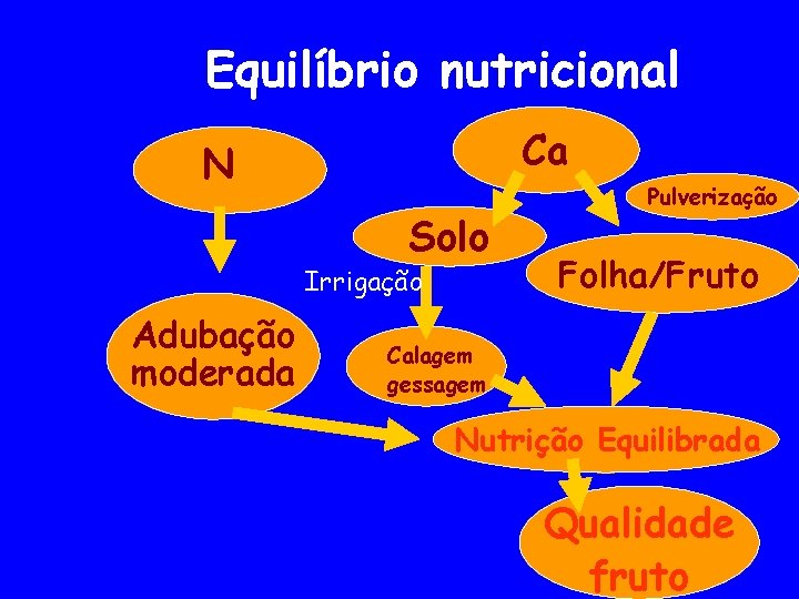 Equilíbrio nutricional Ca N Solo Irrigação Adubação moderada Pulverização Folha/Fruto Calagem gessagem Nutrição Equilibrada