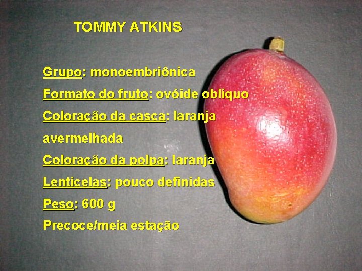 TOMMY ATKINS Grupo: monoembriônica Formato do fruto: ovóide oblíquo Coloração da casca: laranja avermelhada