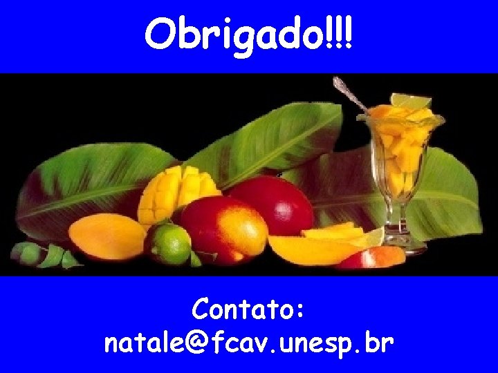 Obrigado!!! Contato: natale@fcav. unesp. br 