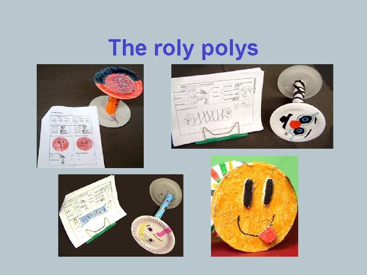The roly polys 