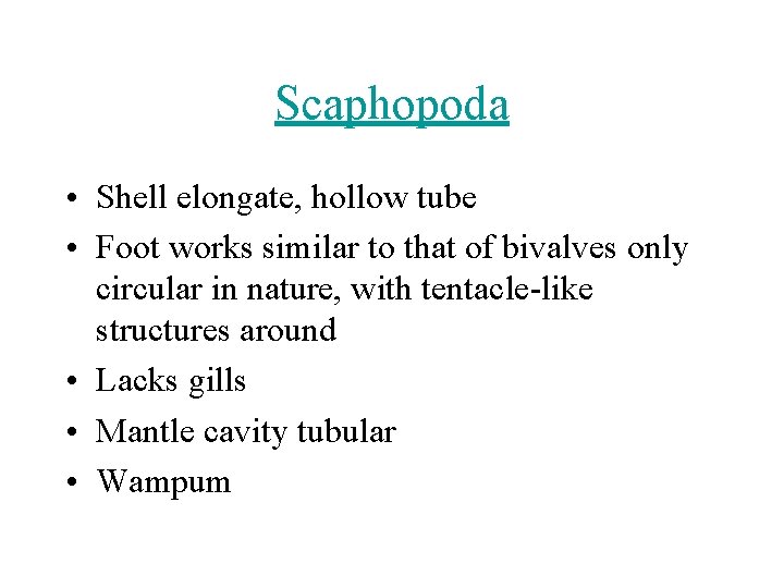 Scaphopoda • Shell elongate, hollow tube • Foot works similar to that of bivalves