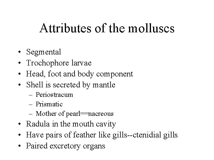 Attributes of the molluscs • • Segmental Trochophore larvae Head, foot and body component