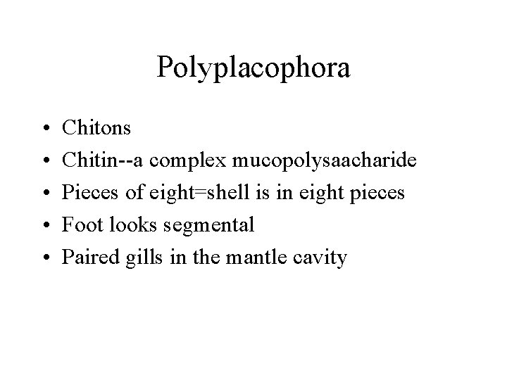 Polyplacophora • • • Chitons Chitin--a complex mucopolysaacharide Pieces of eight=shell is in eight