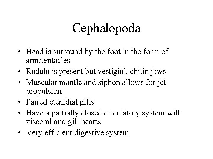 Cephalopoda • Head is surround by the foot in the form of arm/tentacles •