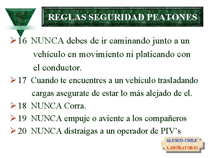 REGLAS SEGURIDAD PEATONES Ø 16 NUNCA debes de ir caminando junto a un vehículo
