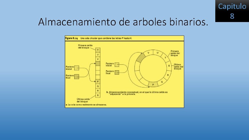 Almacenamiento de arboles binarios. Capitulo 8 Almacenamiento de arboles binarios. Capitulo 8