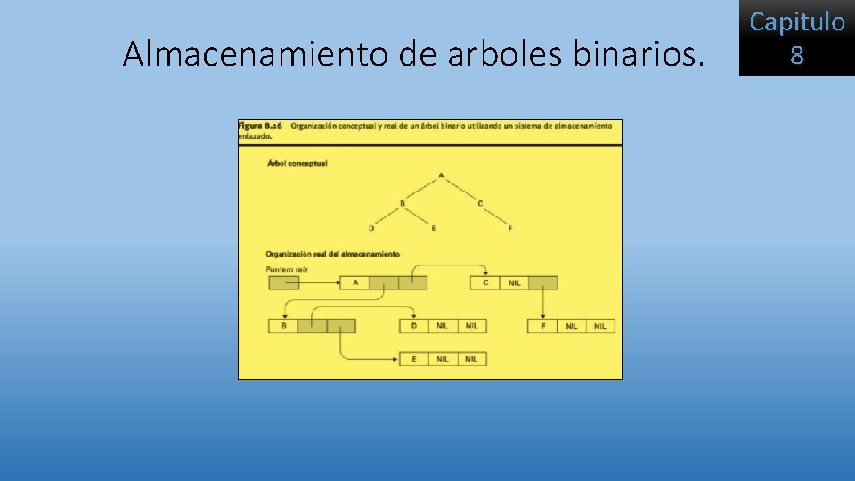 Almacenamiento de arboles binarios. Capitulo 8 Almacenamiento de arboles binarios. Capitulo 8