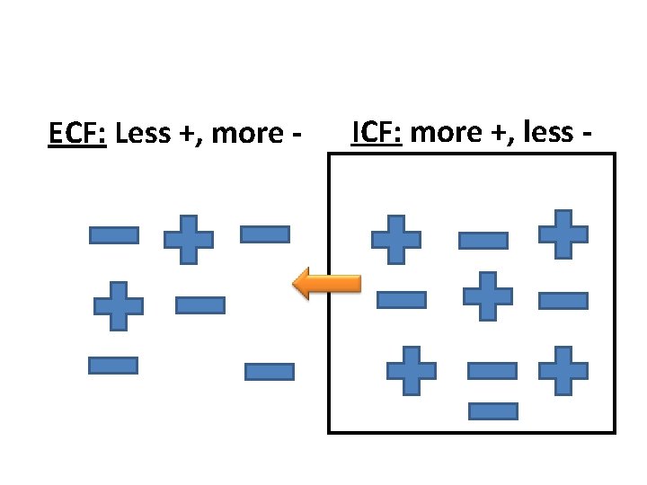 ECF: Less +, more - ICF: more +, less - 