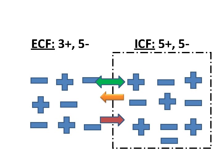 ECF: 3+, 5 - ICF: 5+, 5 - 