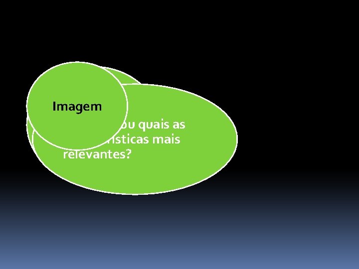 Imagem 2. 2. Qual ou quais as características mais relevantes? 